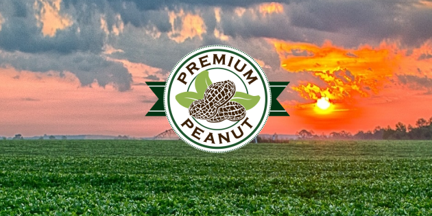 Premium Peanut